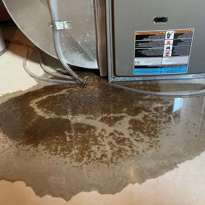 Pipe Burst and Leak Restoration in Upper Saint Clair, PA