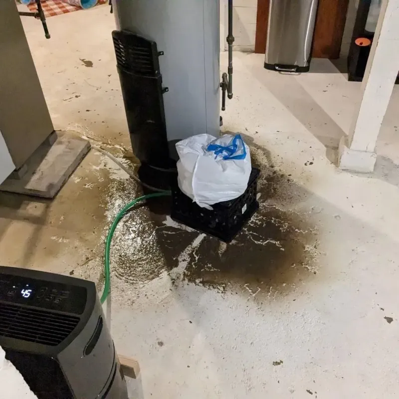 Sewage Backup Cleanup Service in Upper Saint Clair, PA